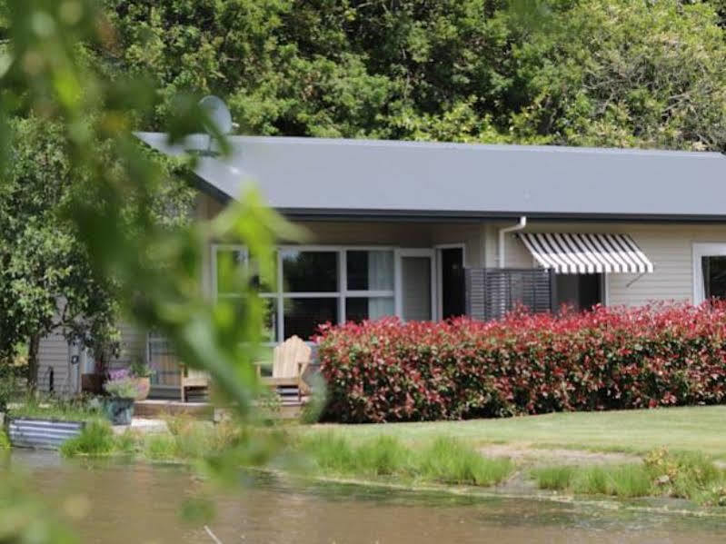 Revive On Oakview Boutique Beauty And Accommodation Ashburton Bagian luar foto